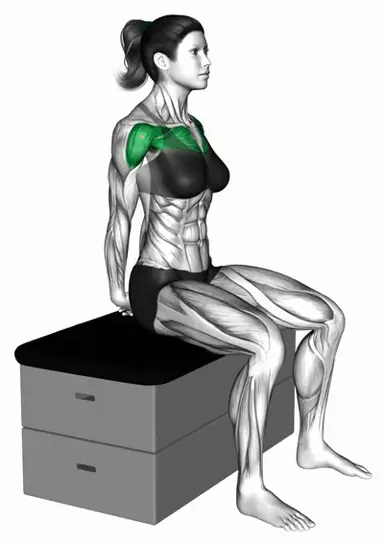 Seated Chest Out Hands Behind (Hold) on a Padded Stool demo