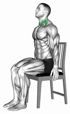 Sitting Chin Tuck on a Chair (Demo 2) demo