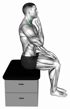 Seated Chin Tuck (VERSION 2) demo
