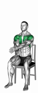 Seated Criss Cross Arms Lift on a Chair demo