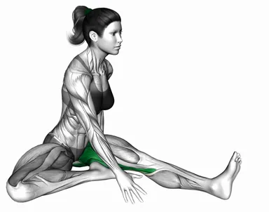 Seated Cross Body Hamstring Reach demo