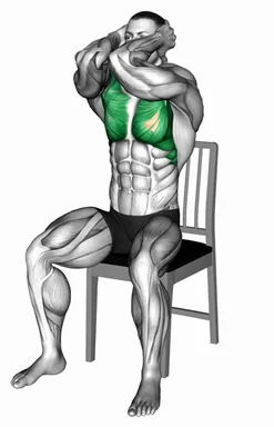 Seated Elbow Chest Fly on a Chair demo