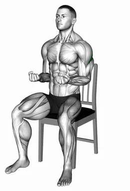 Seated External Rotation on a Chair demo