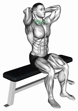 Seated Neck Flexion and Extension demo