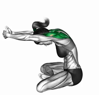 Seated Forward Reach to W Pose demo