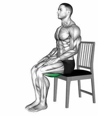 Seated Hamstring Stretch on a Chair demo
