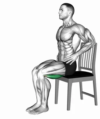 Seated Hamstring Stretch on a Chair (VERSION 2) demo