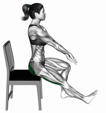 Seated Hamstring Stretch with Chair demo