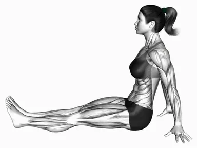 Seated Hand to Knee Back Stretch demo