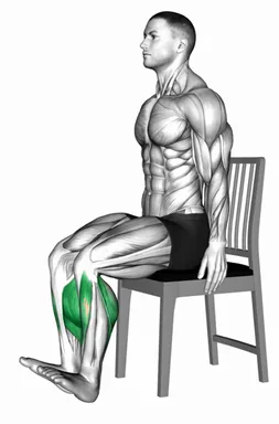 Seated Heel To Toe Raise on a Chair demo