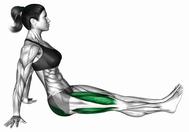 Seated Knee Slide demo