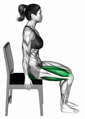 Seated Knee to Nose Stretch demo
