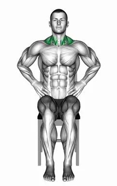 의자 시티드 목 측면 스트레칭 자세 시연