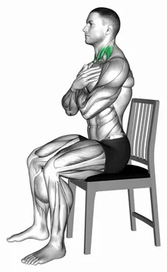 Seated Neck Flexion to Extension on Chair demo