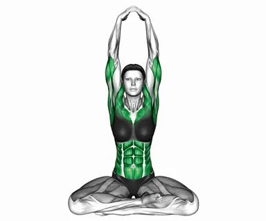 Seated Overhead Side and 45° Bend Forward demo