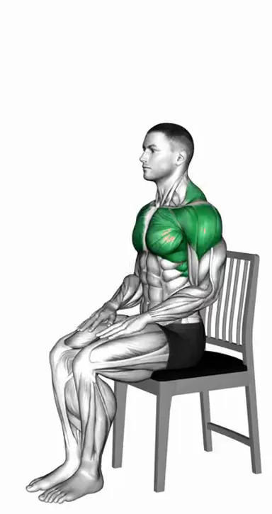 Seated Overhead Stretch on a Chair demo