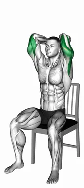 Seated Overhead Triceps Extension on a Chair demo