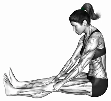 Seated Patella Mobilization demo