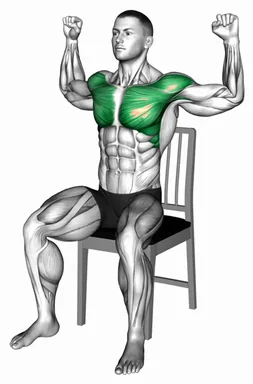 Seated Pec Deck on a Chair demo