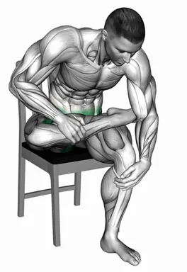 Seated Piriformis Stretch on a Chair demo