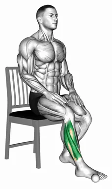 Seated Pronation Supination Foot demo