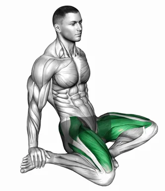 Seated Quadriceps Stretch demo