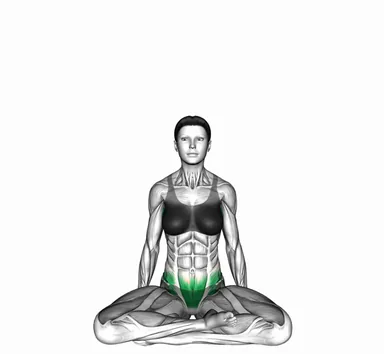 Seated Raised Arms Inhale demo