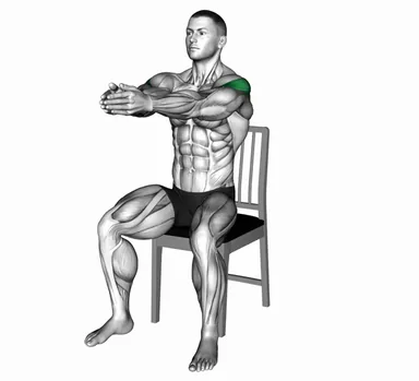 Seated Reverse Fly on Chair demo