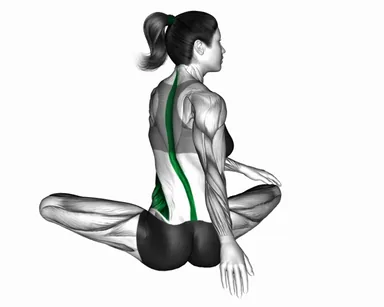Seated Rotation Stretch demo