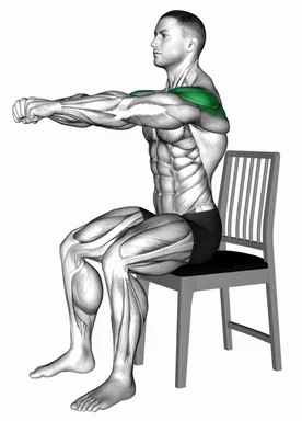 Sitting Row on a Chair (Demo 2) demo