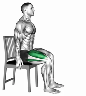 Seated Self Assisted Knee Bend Extension demo