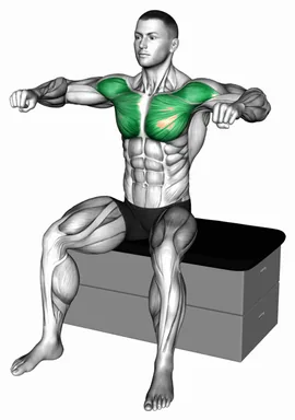 Seated Shoulder 90° Internal Rotation demo