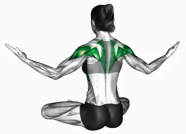 Seated Shoulder Counterclockwise Circle demo