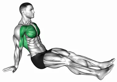 Seated Shoulder Flexor Depressor Retractor Stretch demo