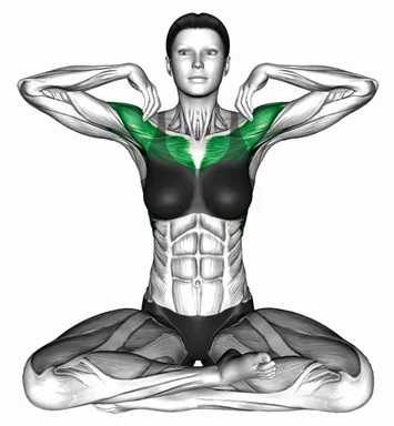 Seated Shoulder Rotation demo
