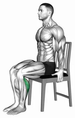 Seated Single Leg Calf Raise on a Chair demo