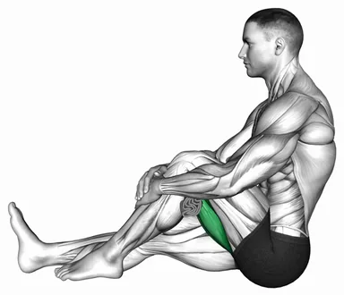 Seated Single Leg Hugging Knee Flexion with Towel demo