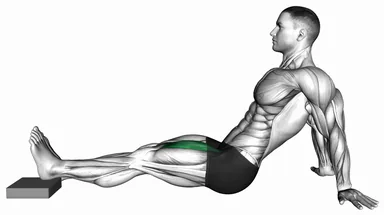 Seated Single Leg Knee Extension (VERSION 2) demo