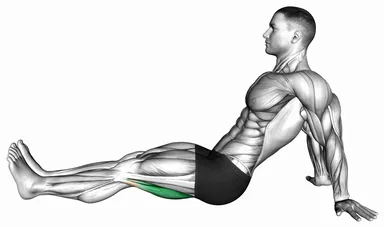 Sitting Single Leg Knee Flexion (Demo 2) demo