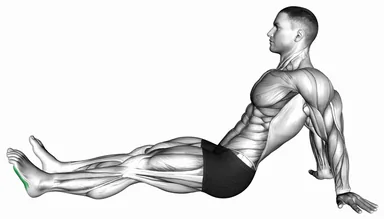 Seated Single Leg Squeezing Toes demo
