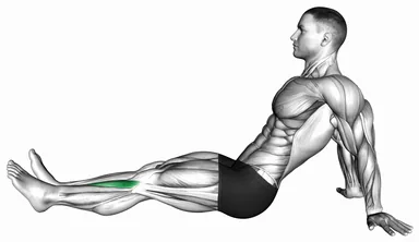 Seated Single Leg Tibialis Press demo