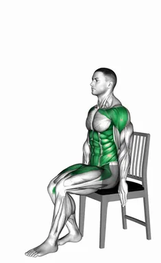 Seated Switch Jump with Arms LIft on Chair demo