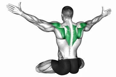 Seated Thumbs-up Pulse demo
