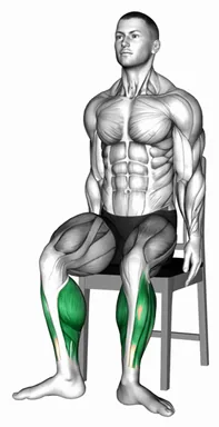 Seated Tip Toe Turn on a Chair demo