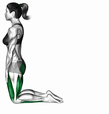 Seated to Intense Plantar Flexion demo