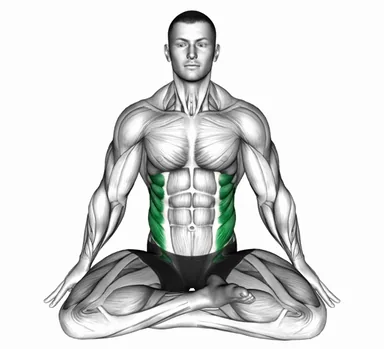 Seated Twist Stretch demo