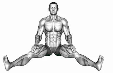 Seated Wide Angle Pose Sequence demo