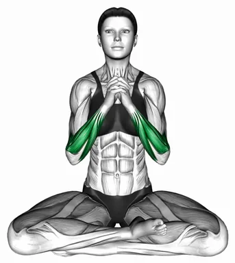 Seated Wrist Rotation demo