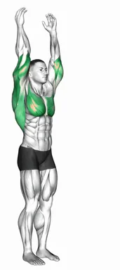 Shoulder Extension demo