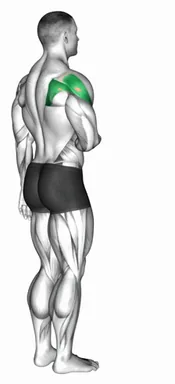 Shoulder External Rotation demo